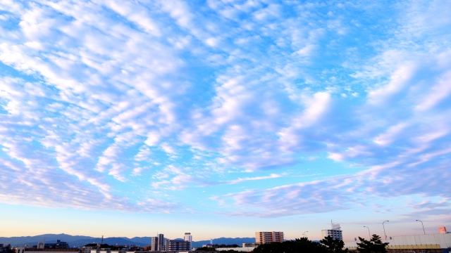 いつ携え上げられるの?ー携え上げのタイミング(1)大患難前説(前編)のアイキャッチ画像