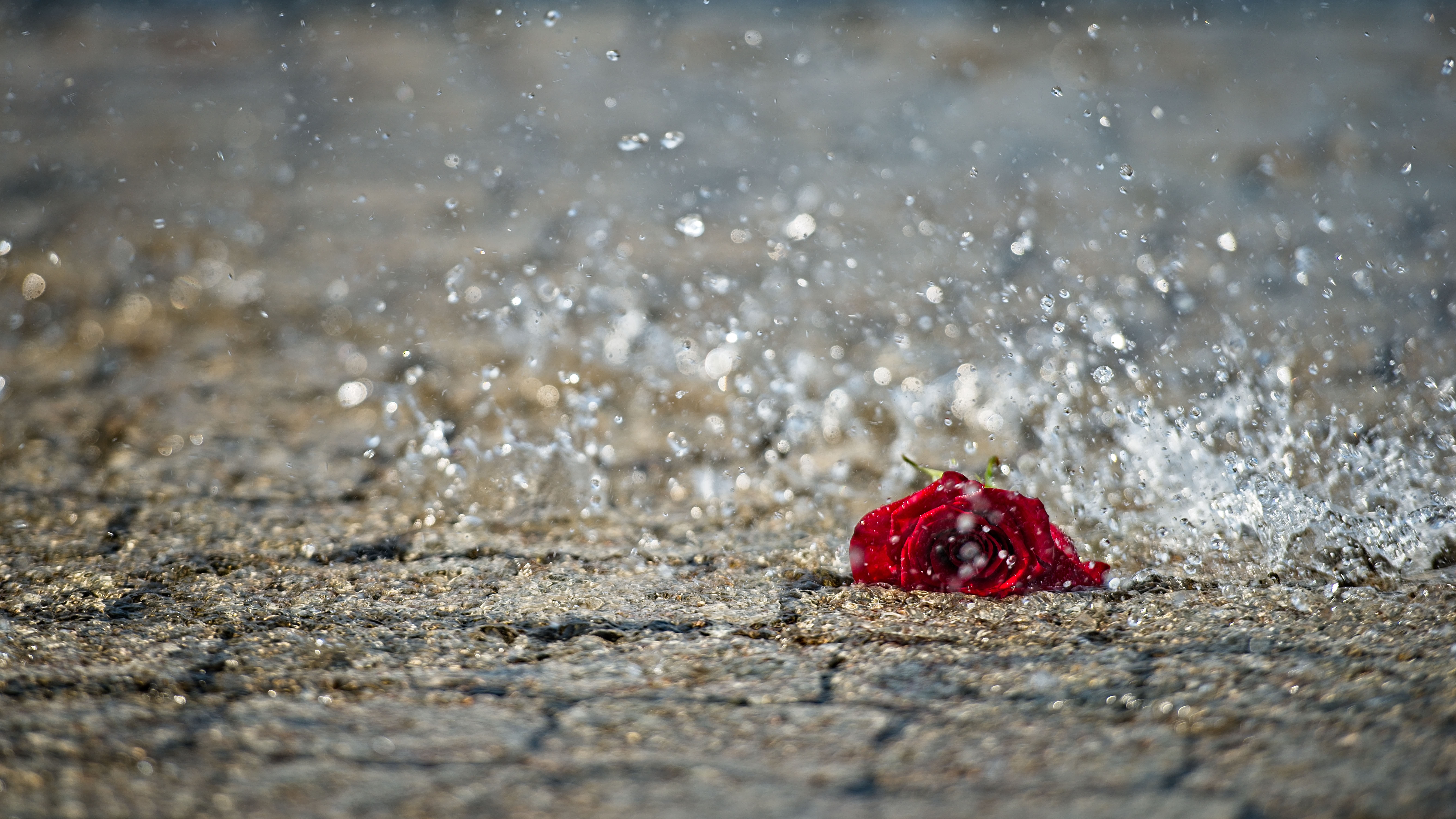 Image source: Envato Elements