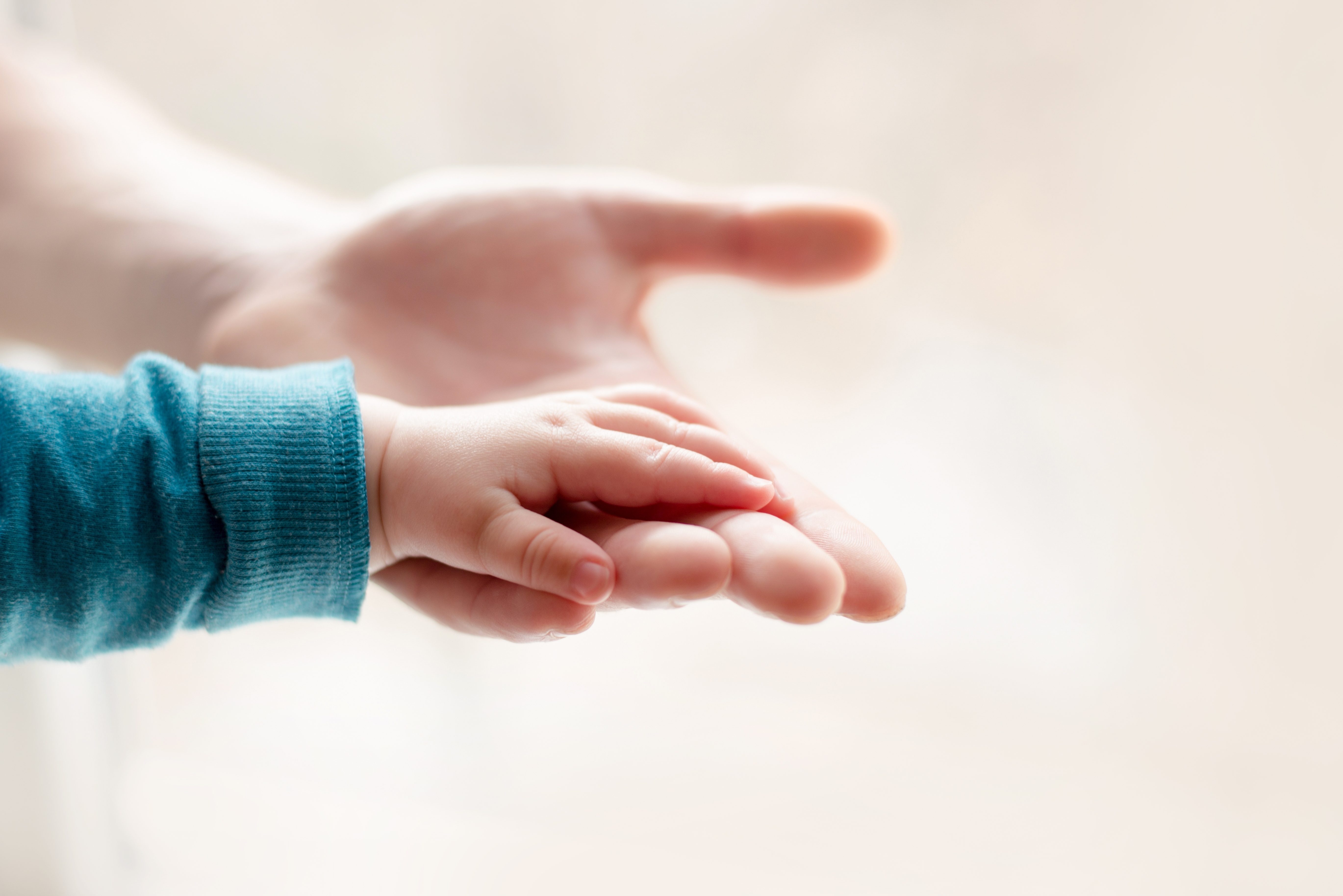 Image source: Envato Elements