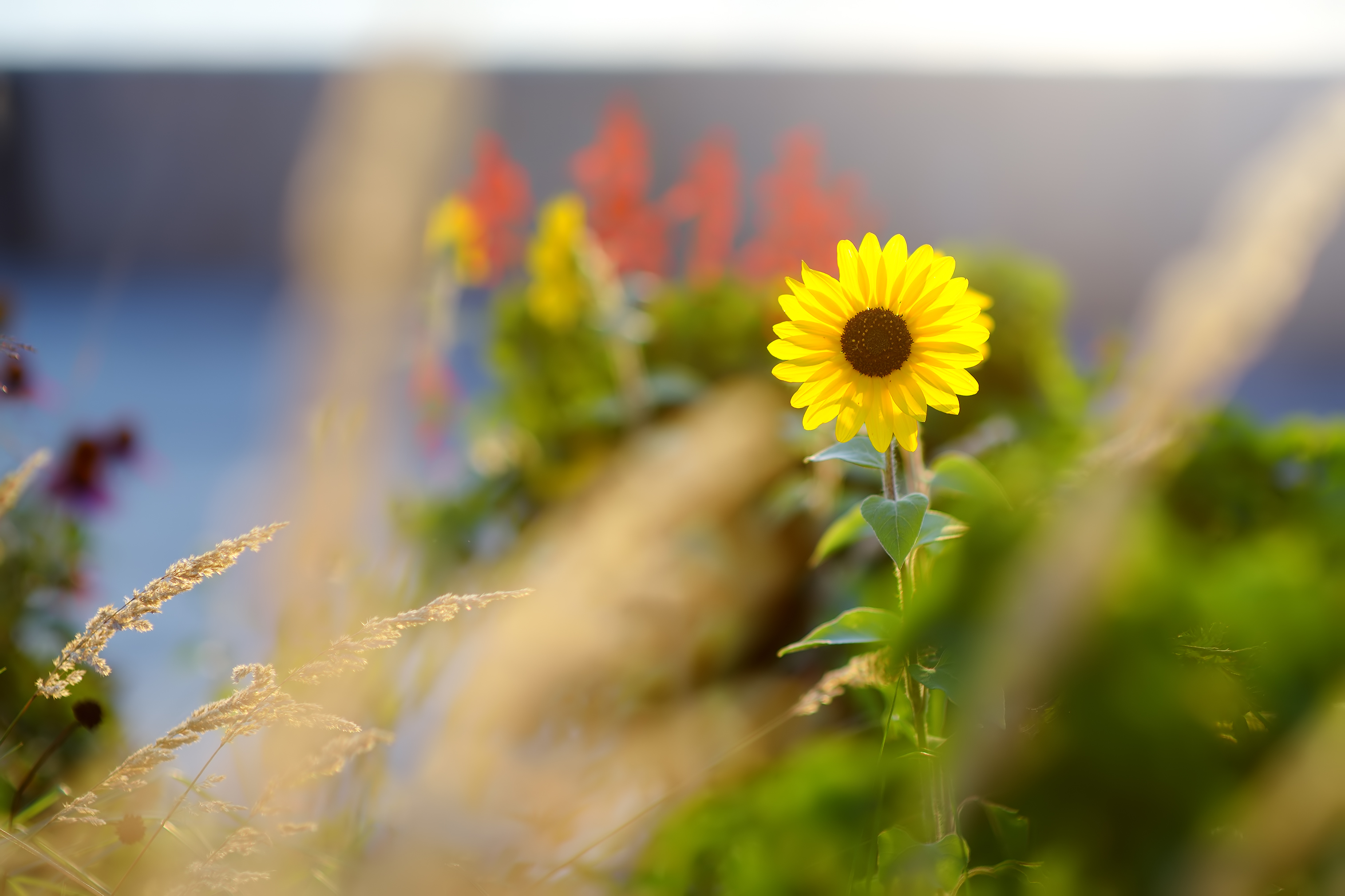 Image source: Envato Elements