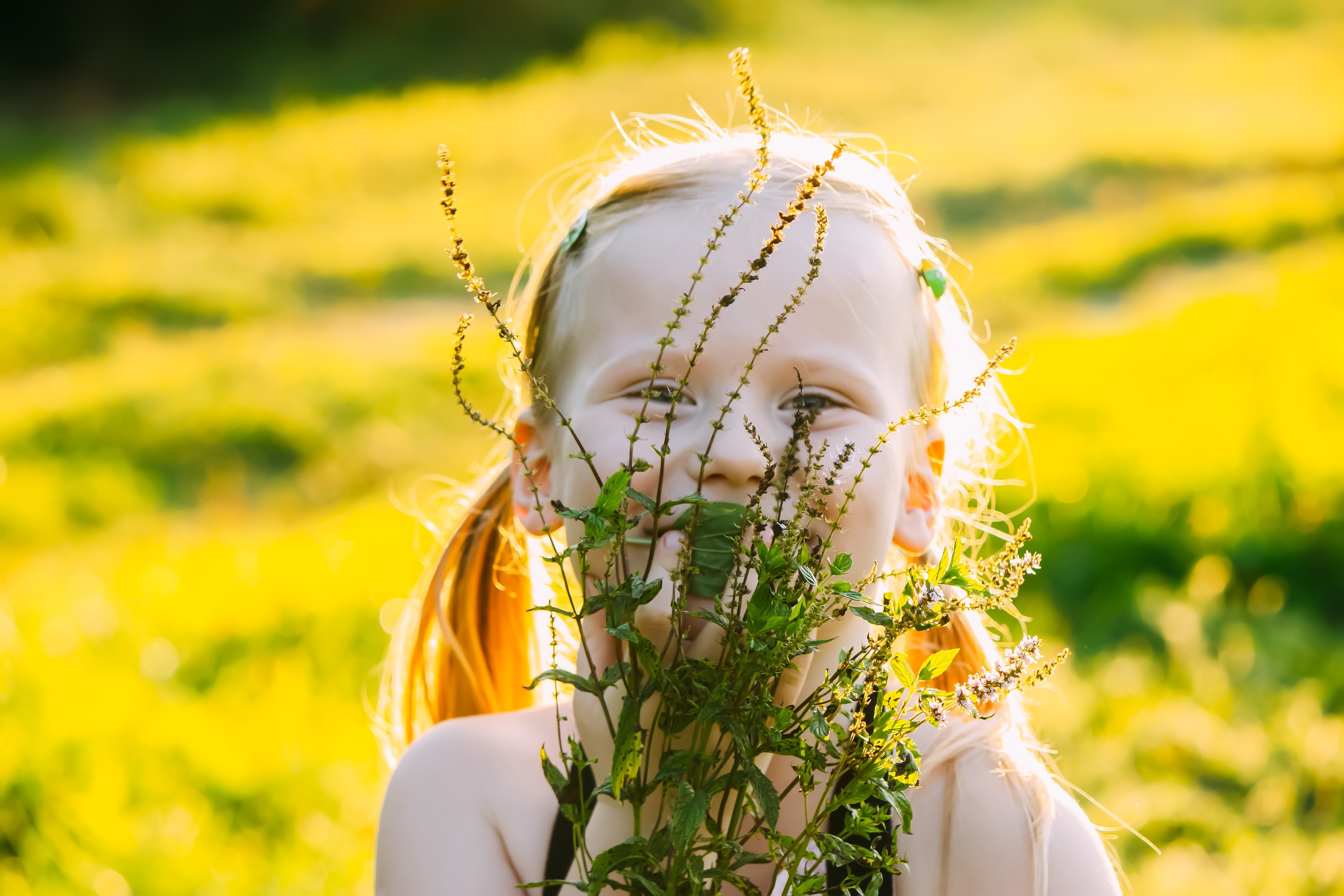 Image source: Envato Elements